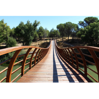 Entorno Bodegas Piedras de San Pedro