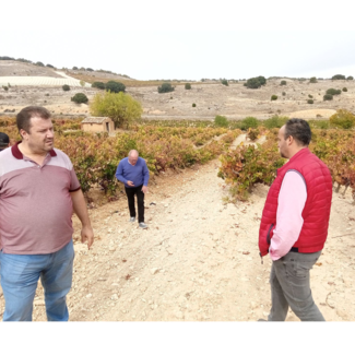 Viñedo y Equipo Piedras de San Pedro