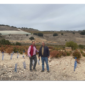 Viñedo y Equipo Piedras de San Pedro