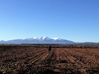 Garnachas del Mundo 2022: ¡Las inscripciones ya están abiertas!