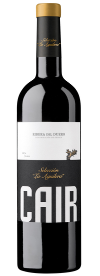 Cair Selección la Aguilera 2016