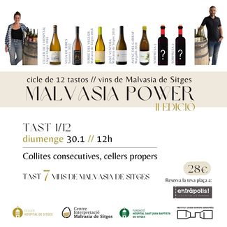 La segunda edición del Malvasia Power se propone ampliar bodegas y público