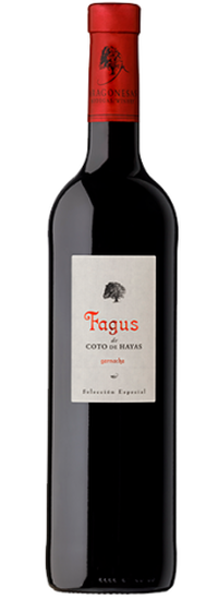 Fagus 2018
