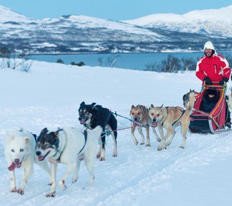 Green Wine Future presenta el programa Wine for the Planet