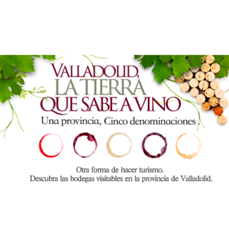 Logo Valladolid Tierra de Vinos