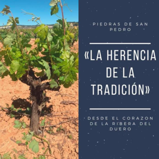 Piedras de San Pedro "La Herencia de la Tradición"