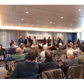 Ferias y Presentaciones