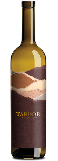 Terra de Tardor 2020