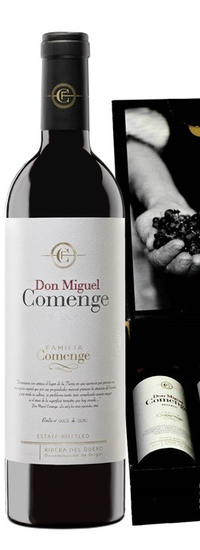 Don Miguel Comenge 2016