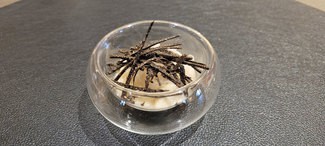 Aguaturma a la vainilla con trufa melanosporum