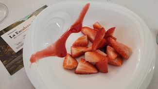fresas