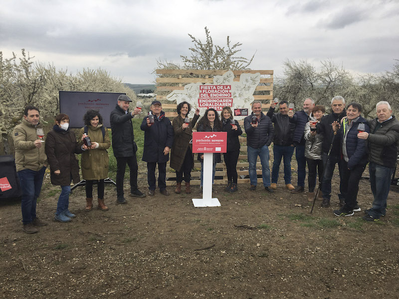 La IG Pacharán Navarro celebra la 'Fiesta de la Floración del Endrino'