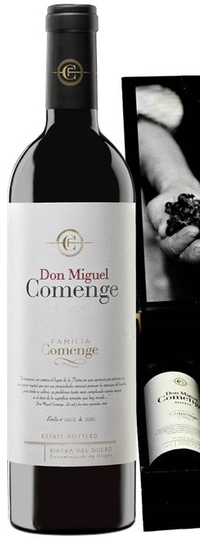 Don Miguel Comenge 2017