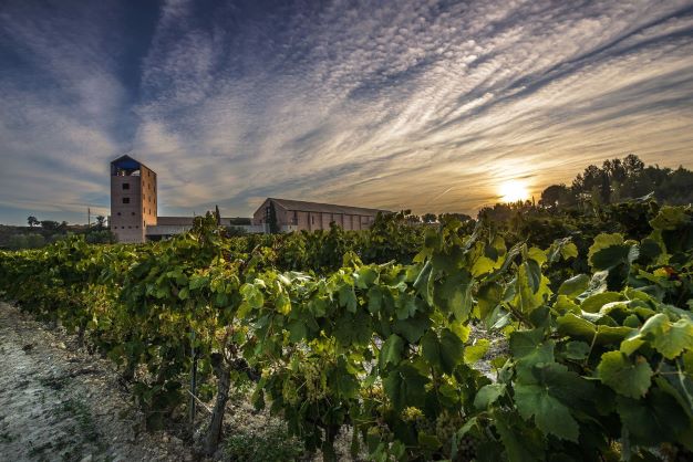 Juvé & Camps consigue el distintivo de   “Elaborador Integral”,   el mayor reconocimiento de la D.O. Cava