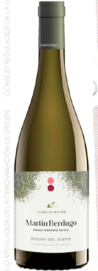 Martín Berdugo Albillo Mayor 2020