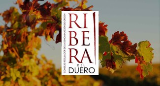 Diez prescriptores de prestigio calificarán la añada 2021 de Ribera del Duero