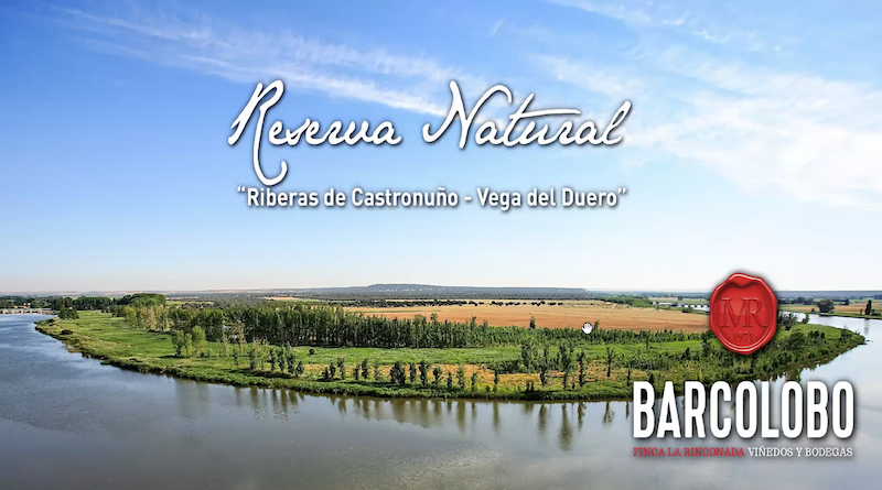 Presentación de Barcolobo Victoria 2016. Resumen de Cata Virtual