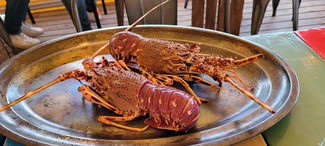 Presentacion de las dos langostas vivas antes de emplatarlas