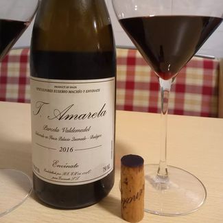 T. Amarela Parcela Valdemedel Envínate Palacio Quemado 2016, Badajoz