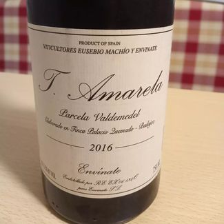 T. Amarela Parcela Valdemedel Envínate Palacio Quemado 2016, Badajoz