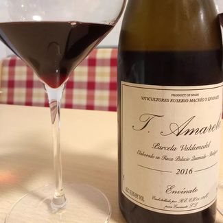 T. Amarela Parcela Valdemedel Envínate Palacio Quemado 2016, Badajoz