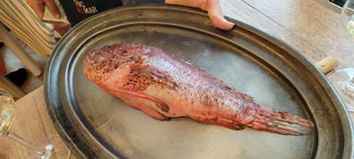 Presentacion del cabracho de 990 gr