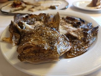 Cabeza del rodaballo