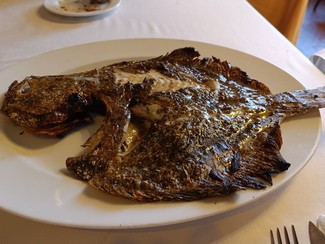 Presentación del rodaballo