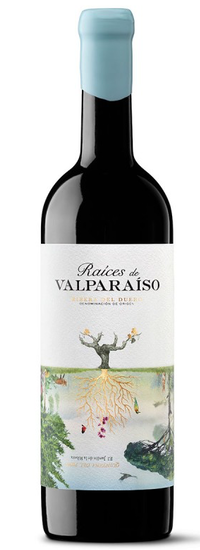 Raices de Valparaiso 2019