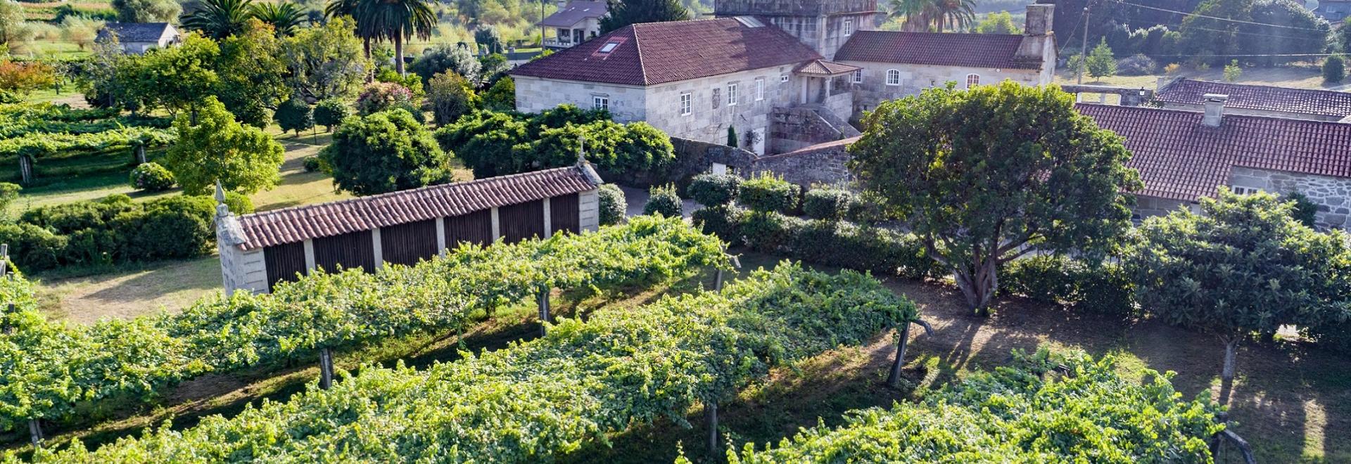 Familia Torres consolida su proyecto vitivinícola en Galicia con la compra de una nueva bodega