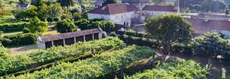 Familia Torres consolida su proyecto vitivinícola en Galicia con la compra de una nueva bodega