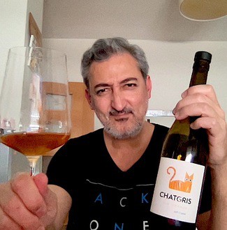 Chat Gris Vin orange by Jeff Carrel