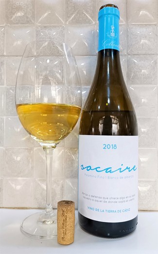 Vinazo gaditano!!