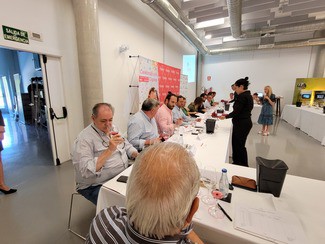 La D.O. Cigales califica la añada 2021 de Excelente