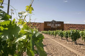 Malleolus de Valderramiro y Malleolus de Sanchomartín triunfan en Wine Spectator