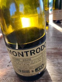 Montrodó Negre 2020