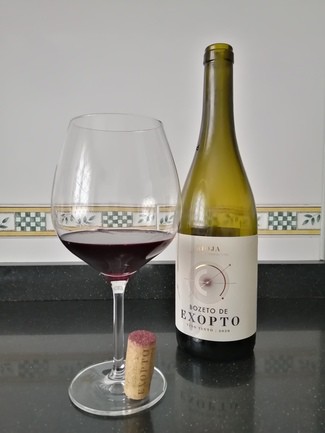 Bozeto de Exopto 2020