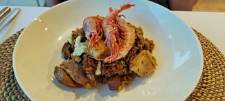 Primer emplatado arroz