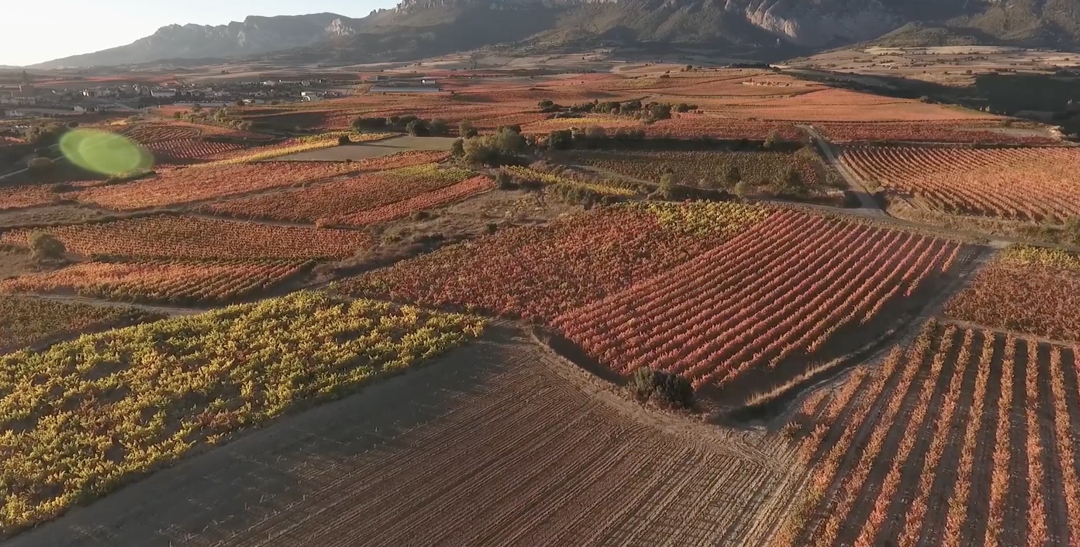El Consejo Regulador de la DOCa Rioja insta a las instituciones en defensa del paisaje vitivincola
