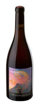 Consciència Còsmica 2019