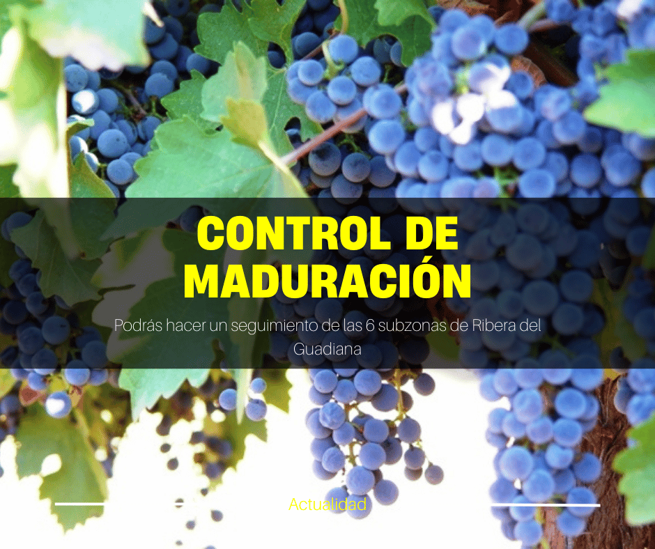 Control de Maduración Campaña 2022 en la DO Ribera del Guadiana