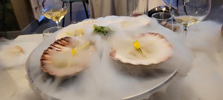 Vieiras sobre fondo marino, arena de gamba y bruma del Cantábrico - Presentacion con la bruma