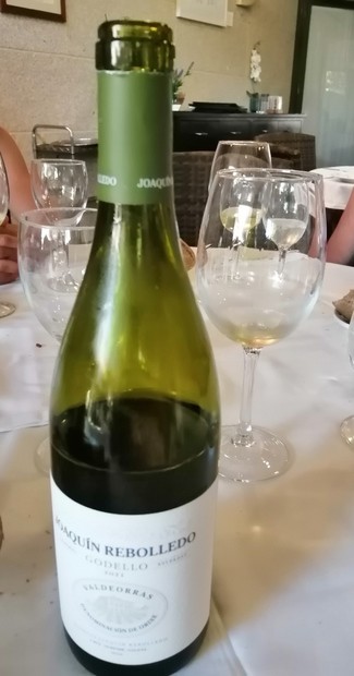 Joaquín Rebolledo 2021