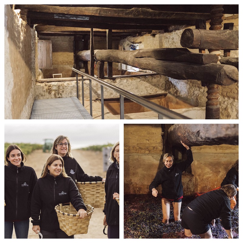 Familia Fernández Rivera revive su historia y recupera su antiguo lagar de piedra del siglo XVI
