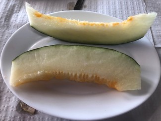 melon