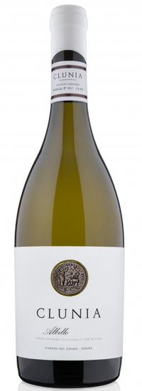 Clunia Albillo 2021