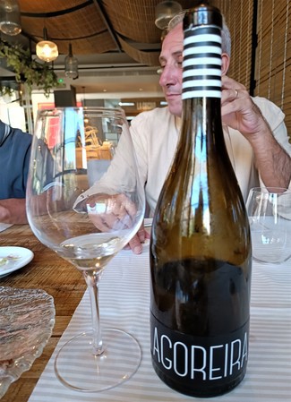 Agoreira godello 2021