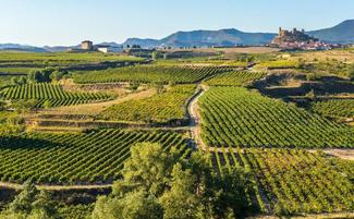 DOCa Rioja: Comunicado de prensa sobre "Viñedos de Alava"