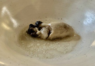 Ostra pochada con grasa de chuleta de cerdo