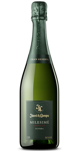 Juvé&Camps Milesimé Xarel·lo Olivera 2017